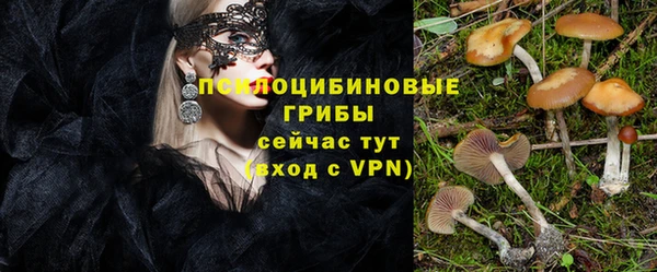 круглые Алексеевка